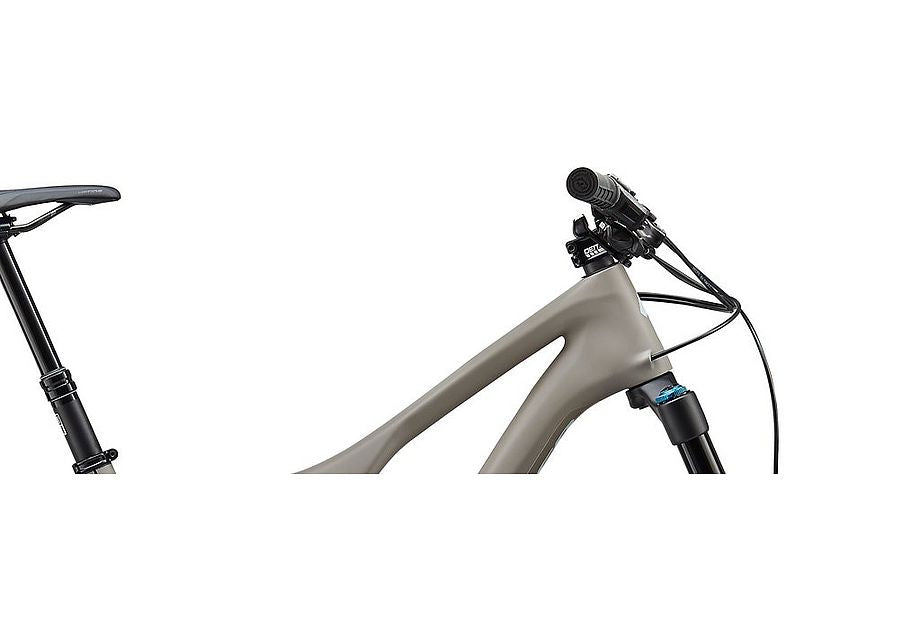 Specialized Stumpjumper Ltd Carbon Pemberton 29