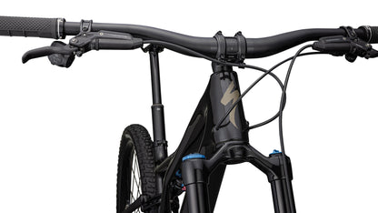 Specialized Stumpjumper Expert T-Type