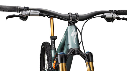 2025 Specialized Stumpjumper 15 FOX DHX Limited Edition