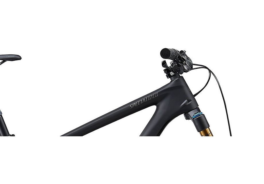 Specialized 2020 Enduro S-Works Carbon 29