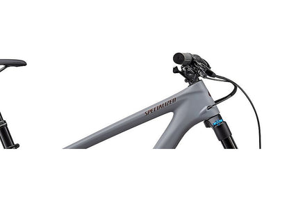 2020 Specialized Enduro Expert Carbon 29