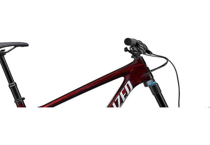 2020 Specialized Enduro Expert Carbon 29