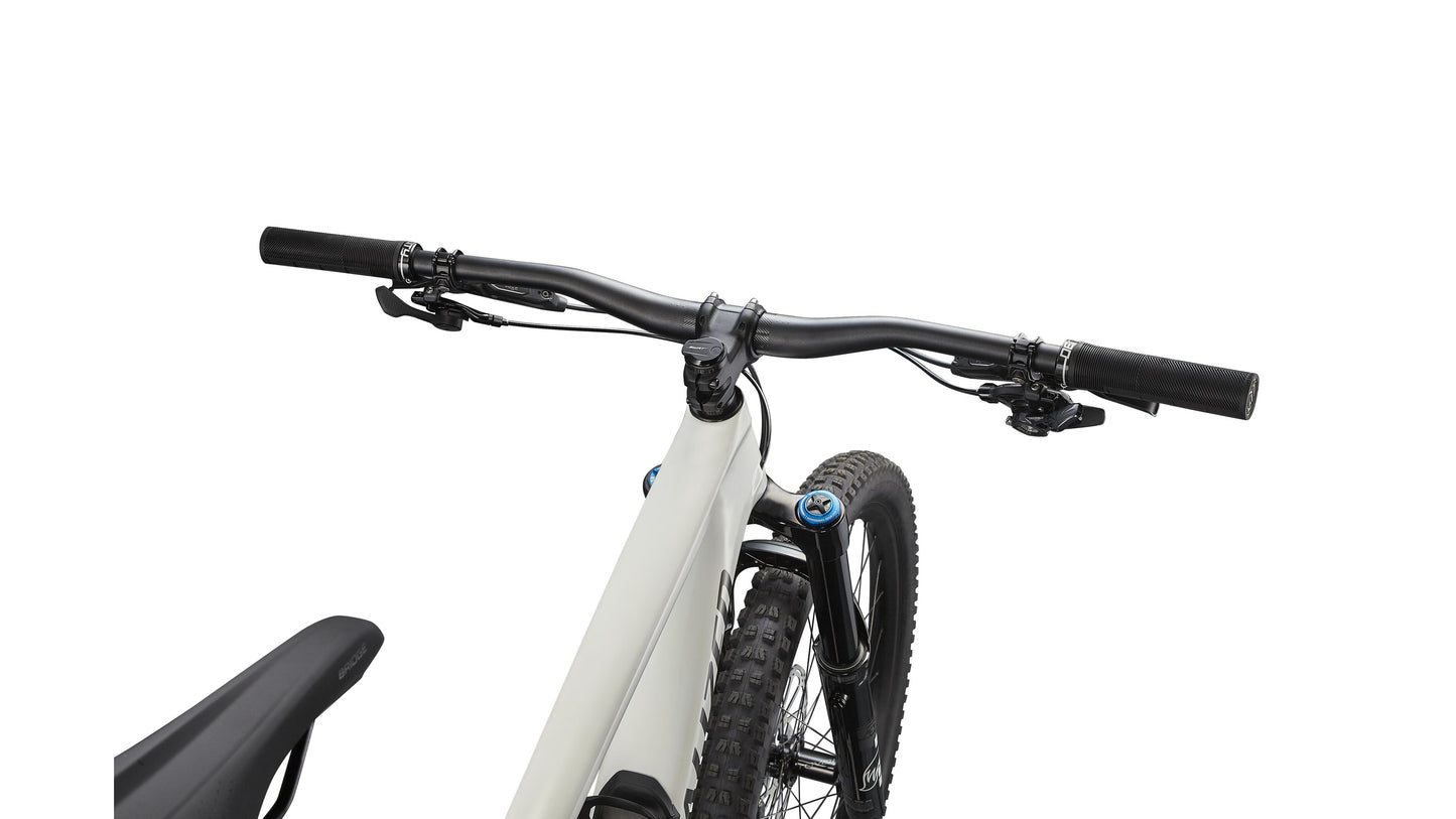 Specialized Enduro Expert