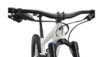 Specialized Enduro Expert