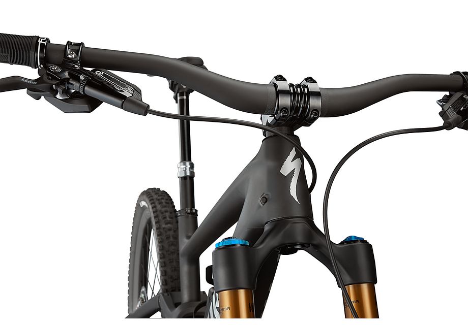 Specialized Enduro S-Works Frame