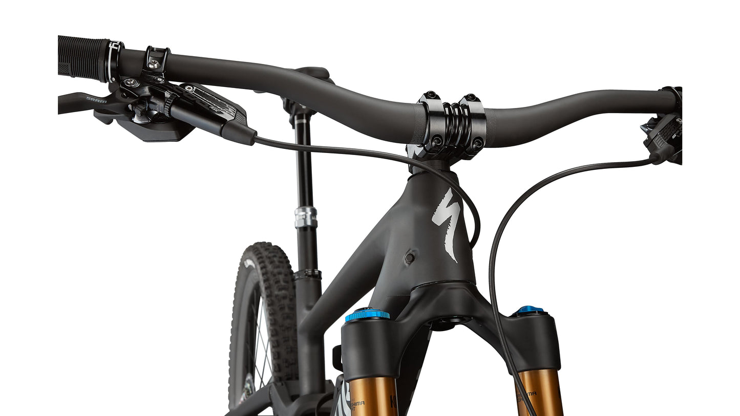 Specialized Enduro Sw