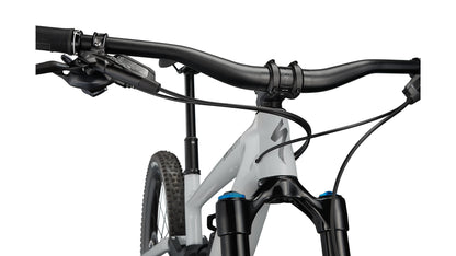 Specialized Enduro Expert