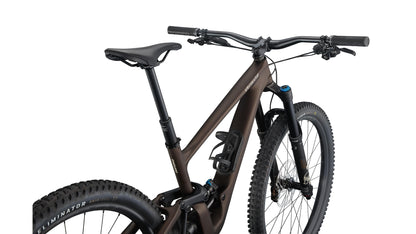 Specialized Enduro Expert