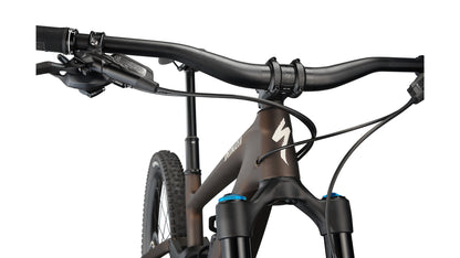 Specialized Enduro Expert