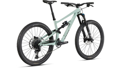Specialized Status 160