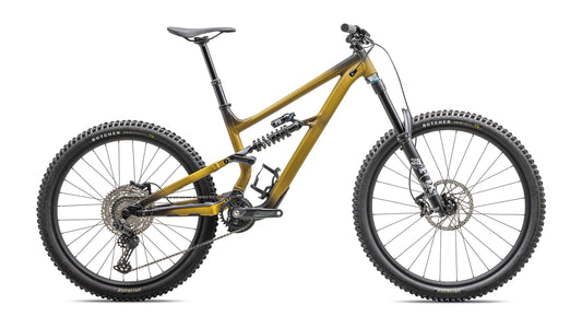 2024 Specialized Status 2 170