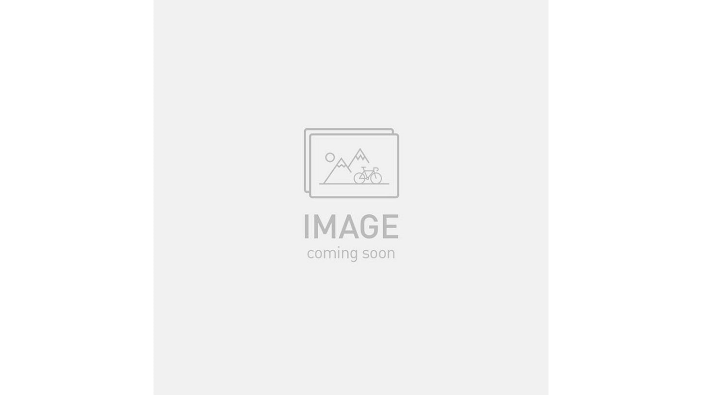 2025 Specialized Turbo Vado SL 2 6.0 Carbon