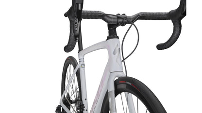 Specialized Roubaix Pro