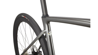 Specialized Roubaix Expert