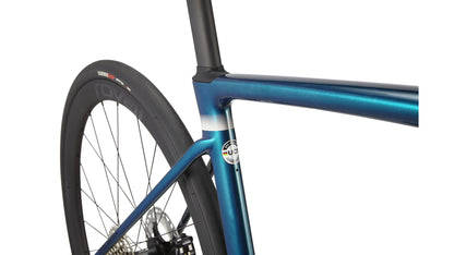 Specialized Roubaix Expert