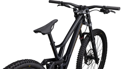 2023 Specialized Demo Expert