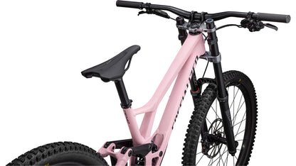 2023 Specialized Demo Expert