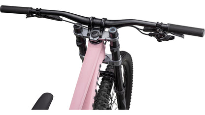 2023 Specialized Demo Expert