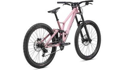 2023 Specialized Demo Expert