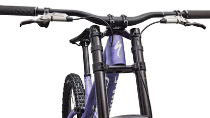 2027 Specialized S-Works Demo 11