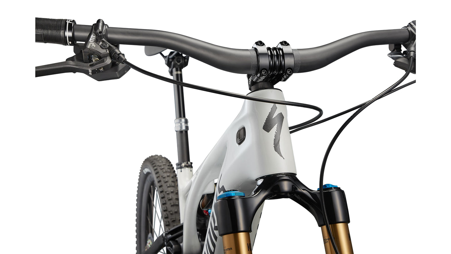 Specialized Levo S-Works Carbon