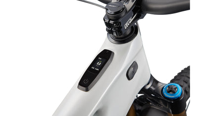 Specialized Levo S-Works Carbon