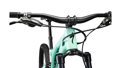 Specialized Levo Alloy