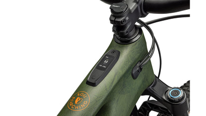 Specialized Levo Ltd