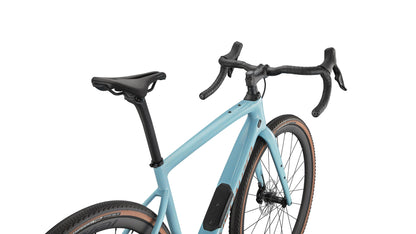 Specialized Diverge Expert Carbon