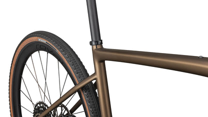 2025 Specialized Diverge Expert Carbon