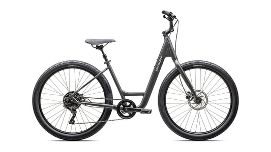 2025 Specialized Roll 3.0 Low Entry