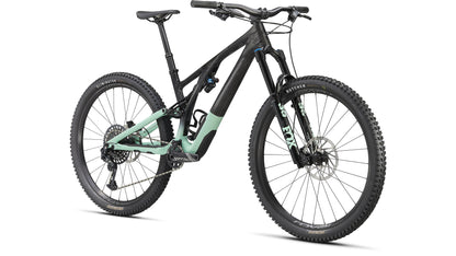 Specialized Stumpjumper Evo Expert