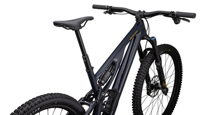 2024 Specialized SJ EVO Expert T Type