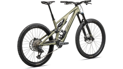 2024 Specialized SJ EVO Expert T Type
