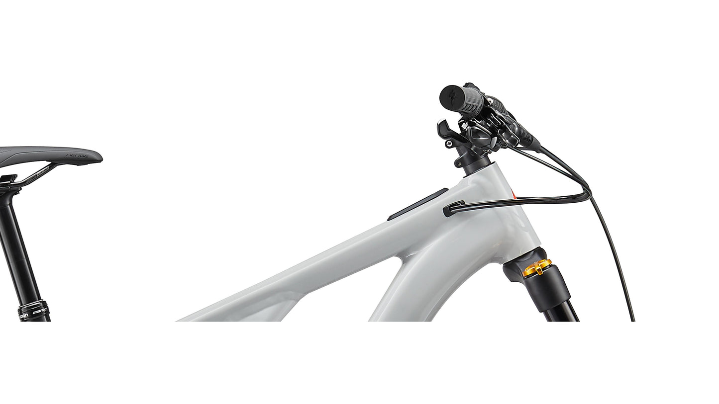 2021 Specialized Kenevo Comp