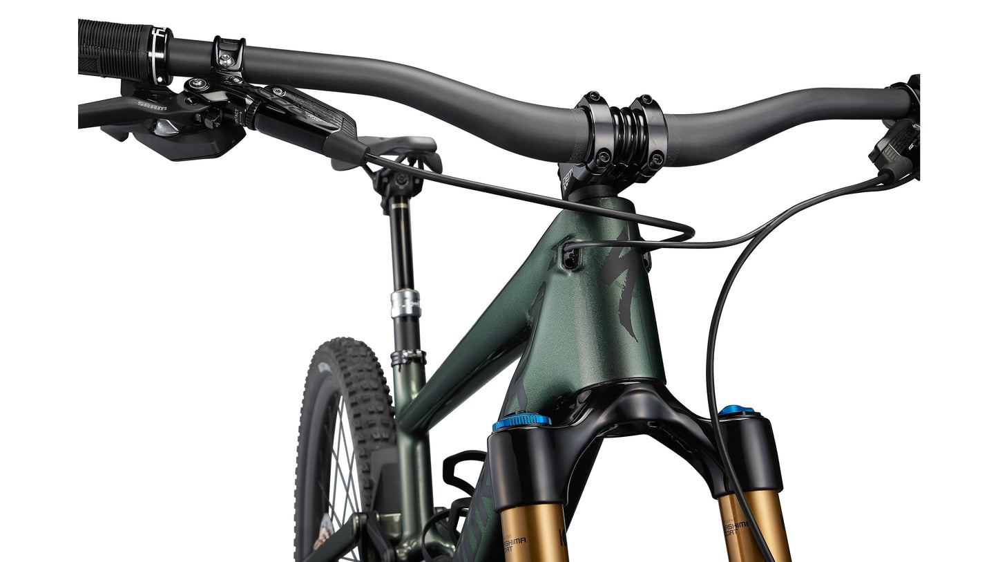 Specialized Kenevo Sl S-Works Carbon 29