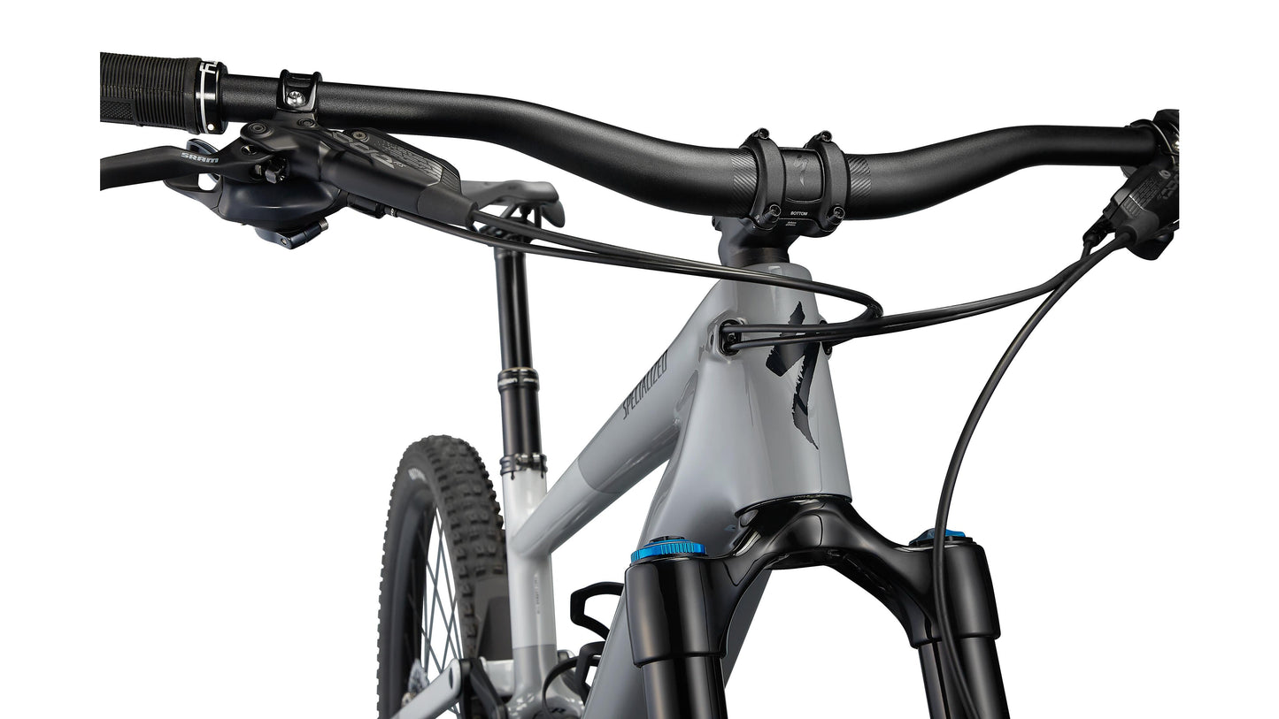 Specialized Kenevo Sl Expert Carbon 29