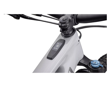 Specialized Kenevo SL Comp Carbon 29 Incycle Limited Edition