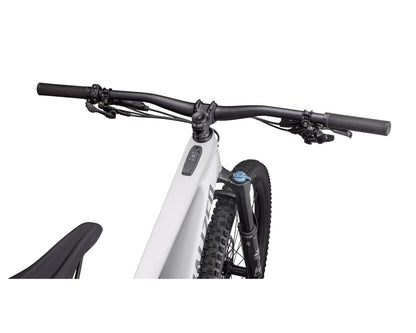 Specialized Kenevo SL Comp Carbon 29 Incycle Limited Edition