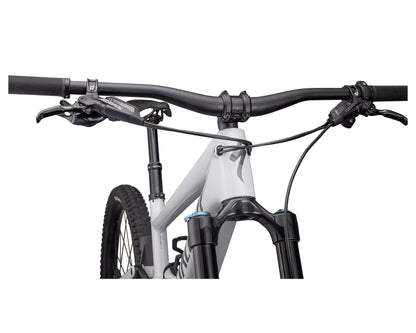 Specialized Kenevo SL Comp Carbon 29 Incycle Limited Edition