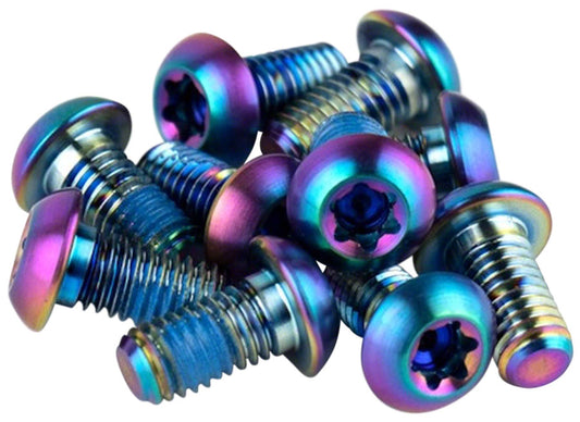 Sram Titanium T25 Rotor Bolt Kit Sil Set Of 12 - Silver