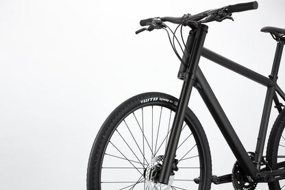 Cannondale Bad Boy 2