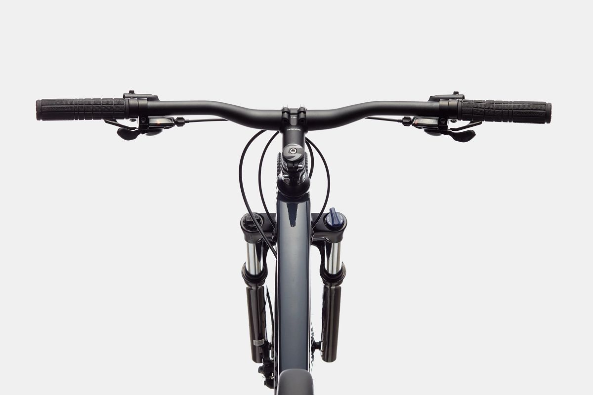 2021 Cannondale Trail 6 SltGry LG