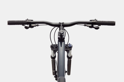 2021 Cannondale Trail 6 SltGry LG