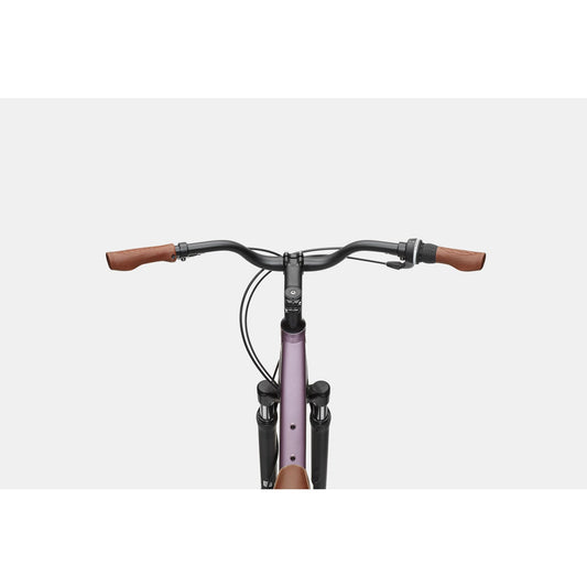 Cannondale Adventure 2