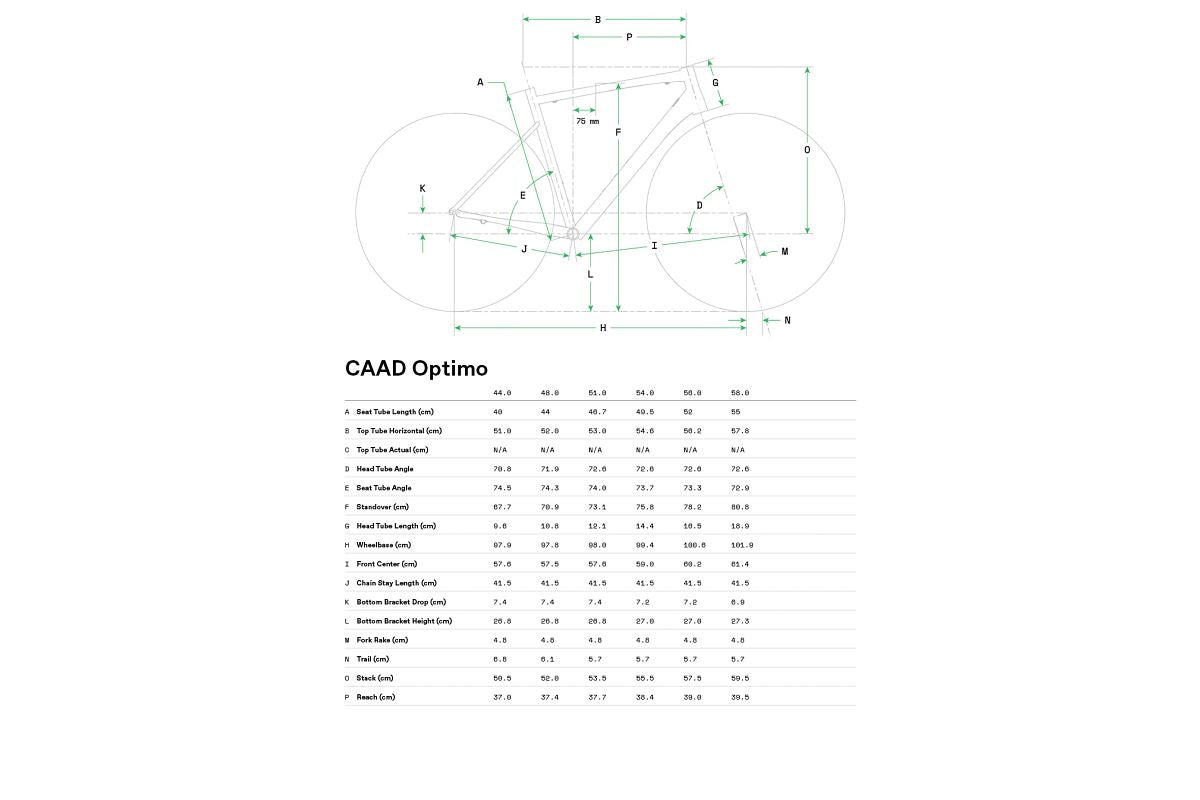 Cannondale CAAD Optimo 4 Silver – Incycle Bicycles