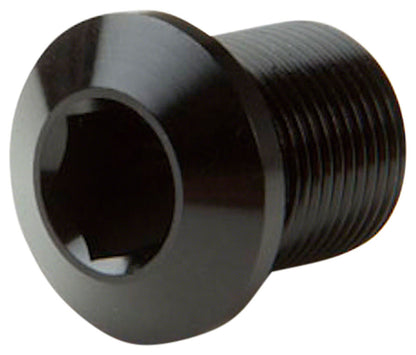 RaceFace Crank Arm Fixing Bolts