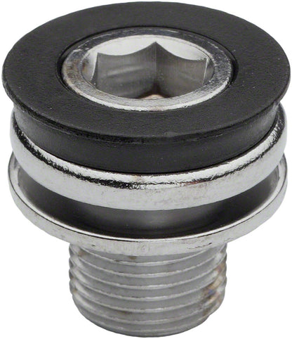 RaceFace Crank Arm Fixing Bolts