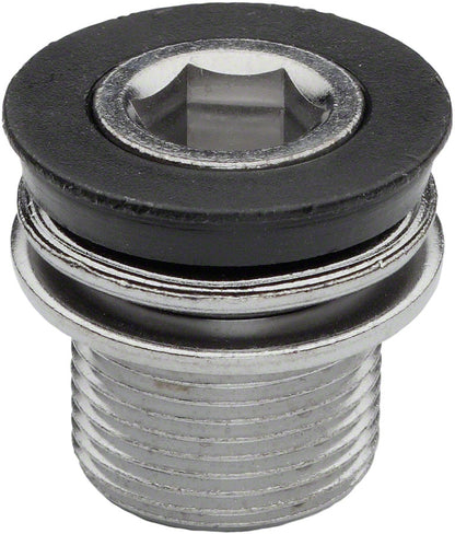 RaceFace Crank Arm Fixing Bolts