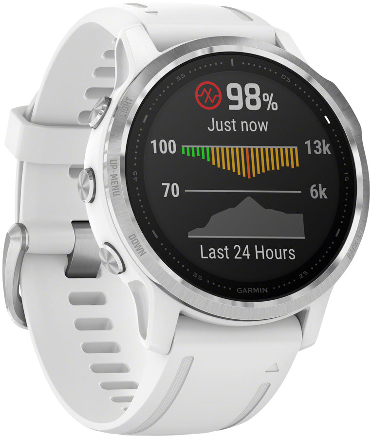 Garmin Fenix 6S GPS Watch